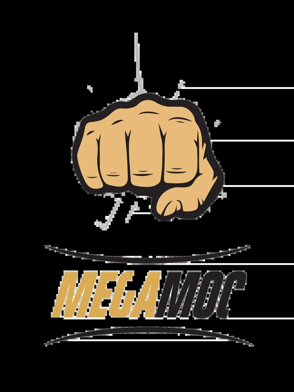 Mega Moc Fitness&Wellness – Racibórz