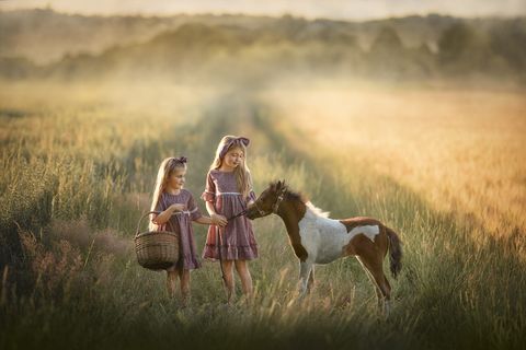 FOTO ADI – Górki Śląskie