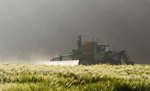 Agro Oaza – zdjęcie 4, Racibórz