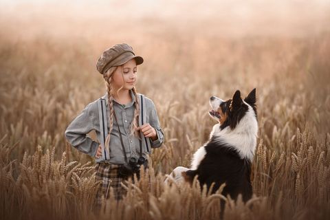 FOTO ADI – zdjęcie 4, Górki Śląskie