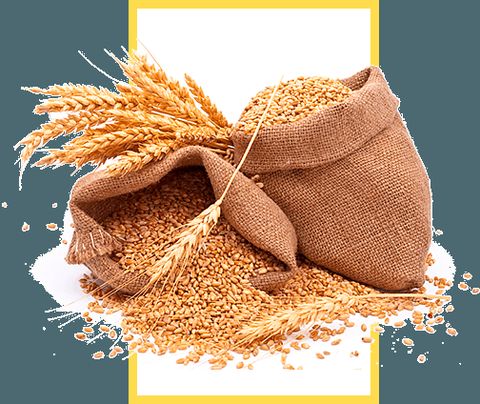 Agro Oaza – zdjęcie 5, Racibórz