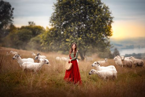 FOTO ADI – zdjęcie 2, Górki Śląskie