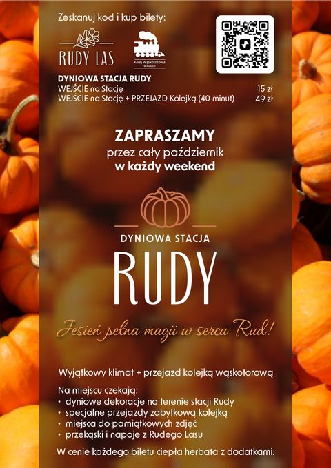 Zabytkowa Stacja Kolei Wąskotorowej w Rudach – zdjęcie 2, Rudy